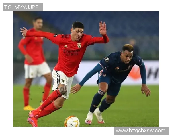 法马里卡奥主场迎战本菲卡期待精彩对决与胜利的较量