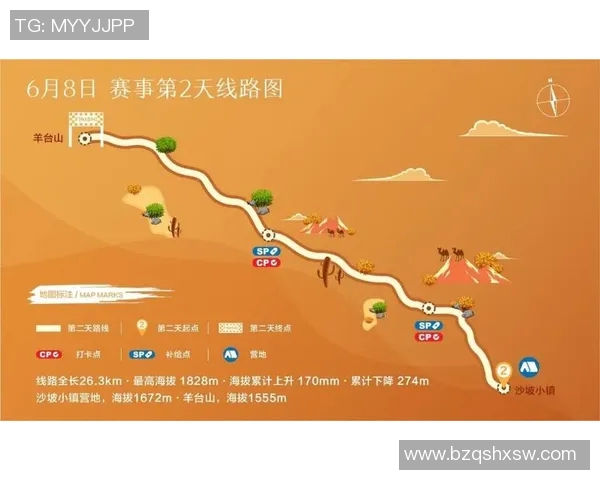 南京篮球队的精神探寻与团队意识的深度解析