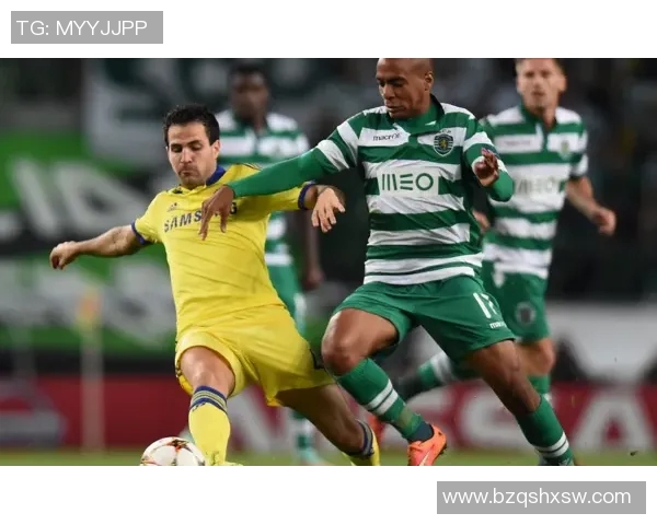 桑德兰与什鲁斯对决数据分析及比赛预测详解